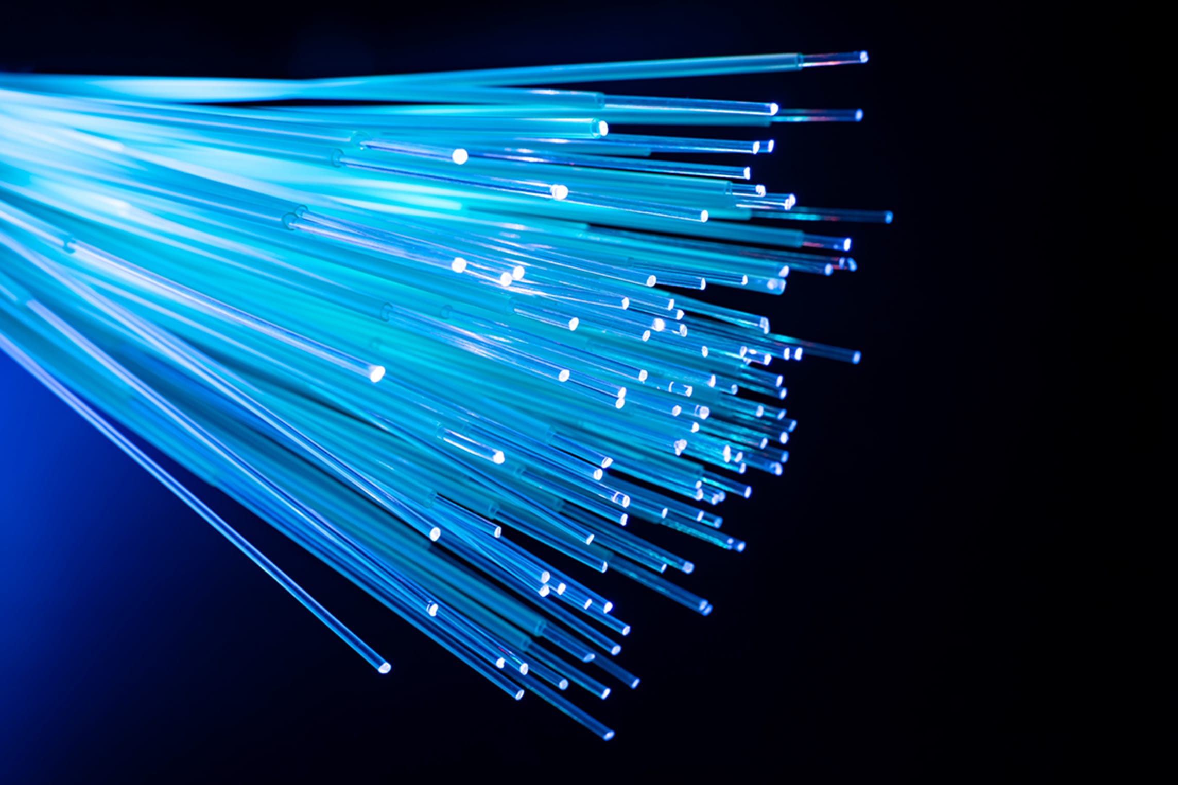 Closeup of fiber cables